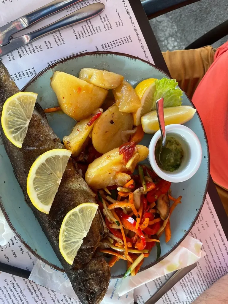 Trout with side dish_6